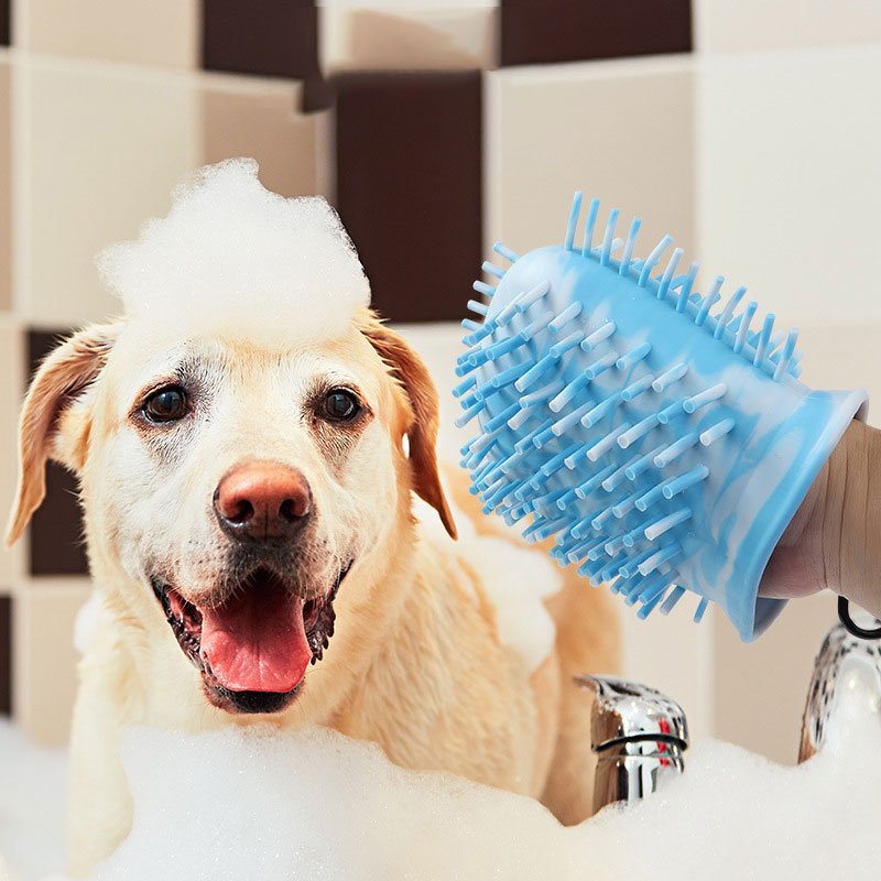 Dog paw being cleaned in paw cleaner cup after muddy walk