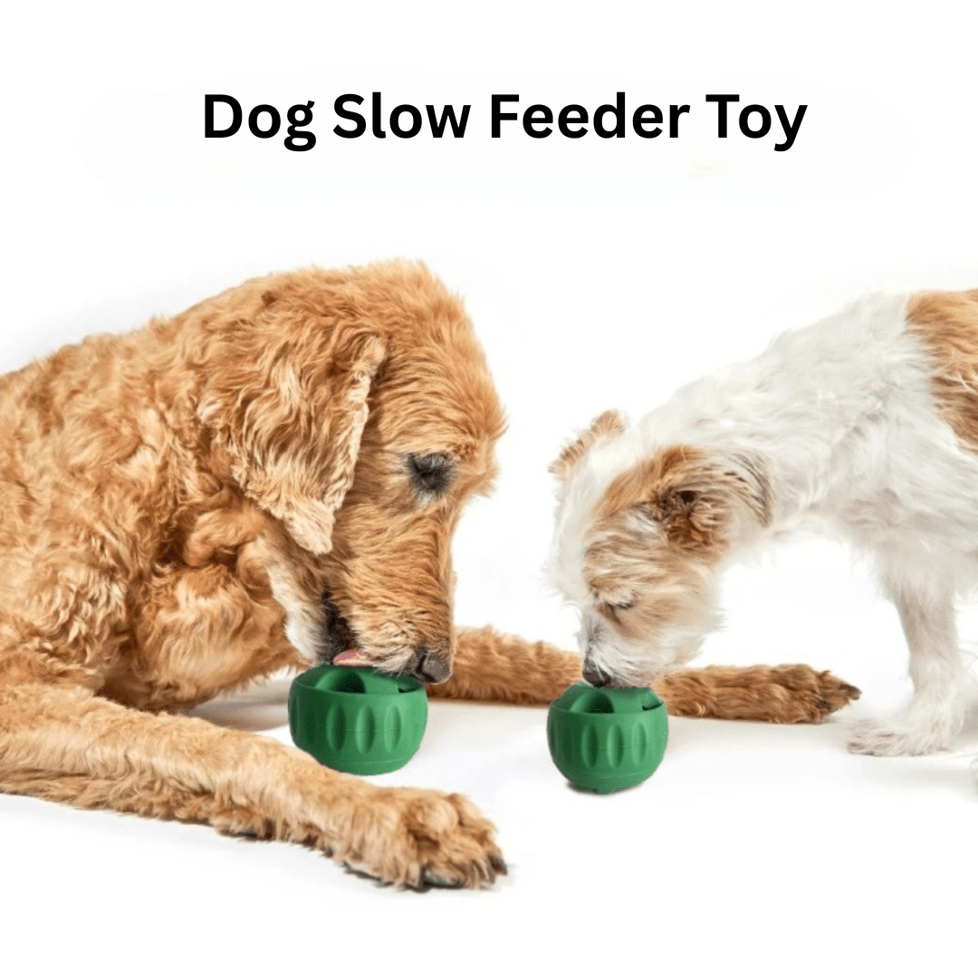 slow feeder ball for dogs – Kavina Shop